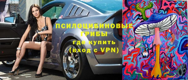 индика Белоозёрский