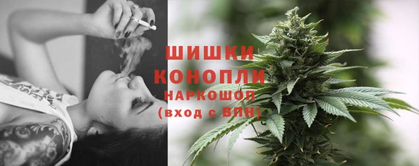 дурь Бородино
