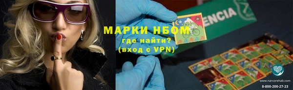 дурь Бородино