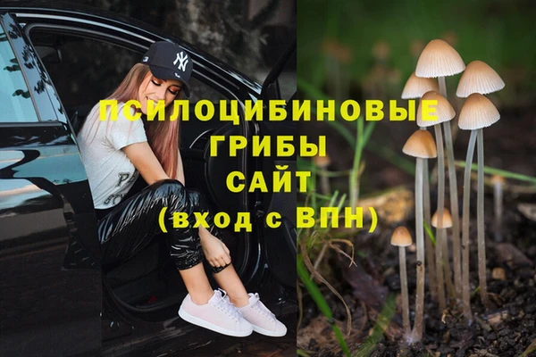 МДПВ Богданович
