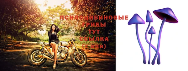 дурь Бородино