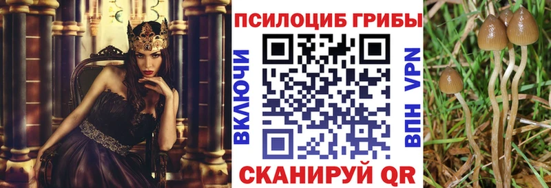 Галлюциногенные грибы MAGIC MUSHROOMS купить наркоту Кизляр